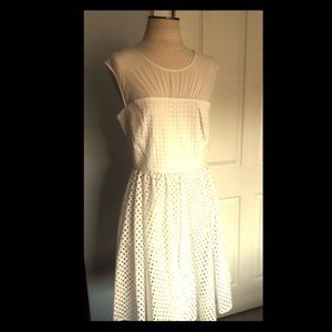Vera Wang Eyelet Lace Circle Skirt Dress